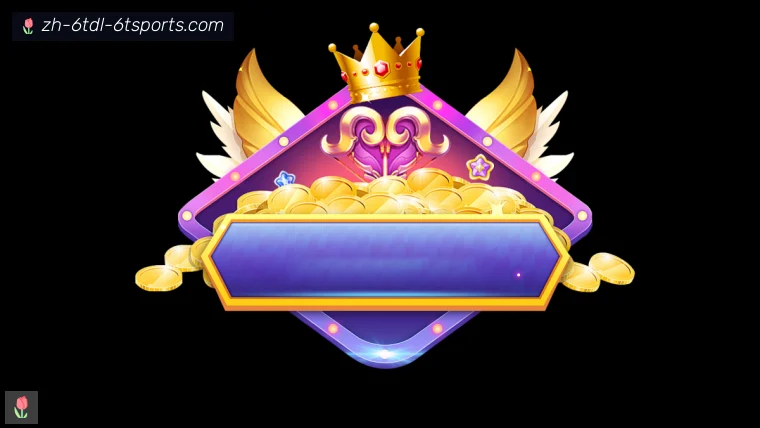 6T体育真人APP